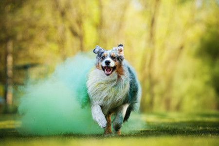 Zdice 02.05.2025 - Foto Kristýna Matoušková